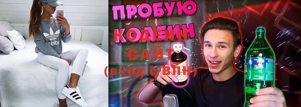 индика Карпинск