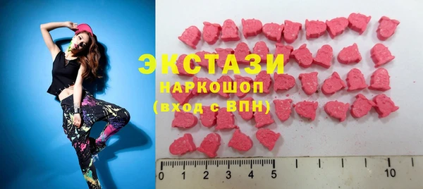 индика Карпинск