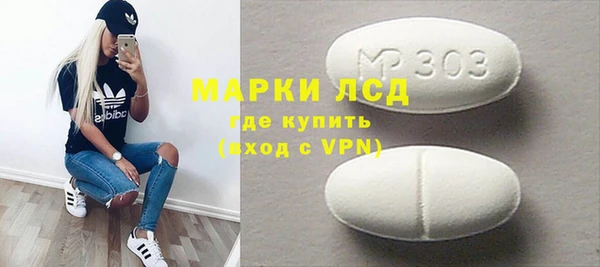 индика Карпинск