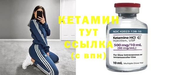 индика Карпинск