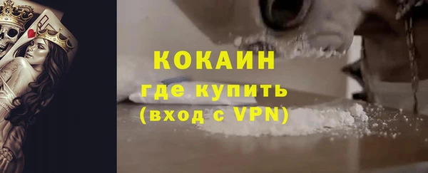МДПВ Каменка