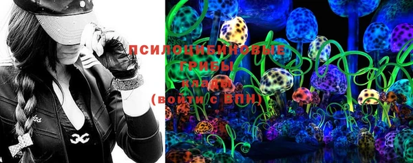 индика Карпинск