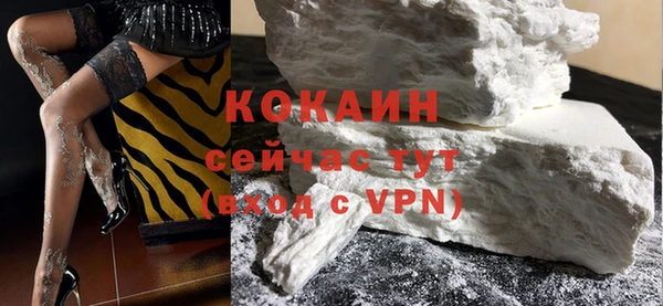 индика Карпинск