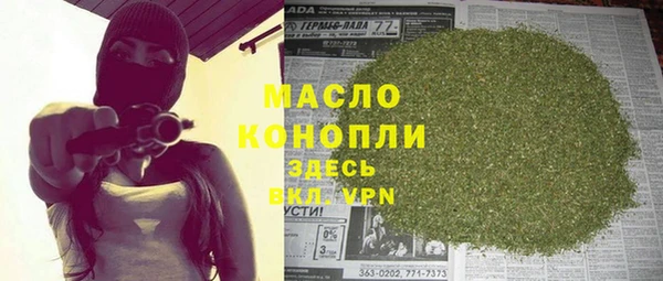 МДПВ Каменка