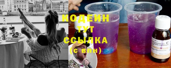 индика Карпинск