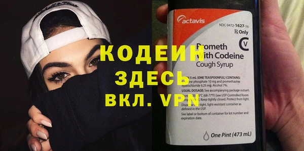 индика Карпинск