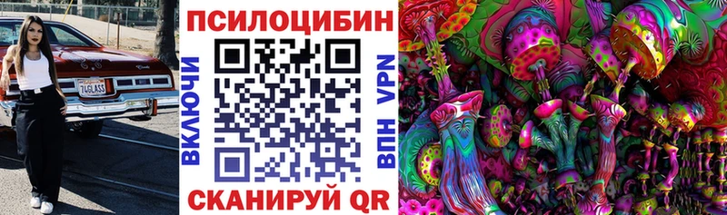 Псилоцибиновые грибы MAGIC MUSHROOMS  Купить где  Малая Вишера 