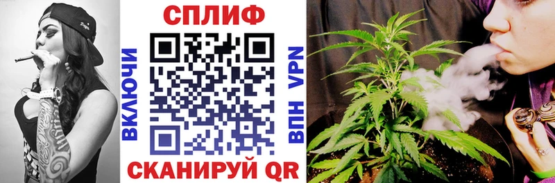 Бошки Шишки VHQ Малая Вишера